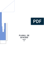 Plan - Managementul Afacerilor Mici I Mijlocii