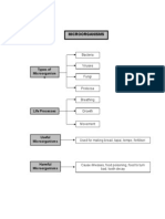 Mind Map Y5