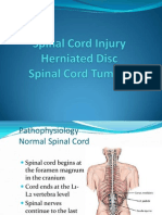 Spinal Cord Injury s2012