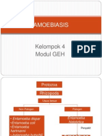 Kelompok4 AMOEBIASIS