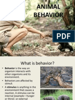 Animal Behavior