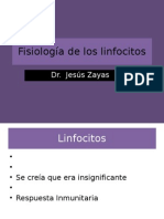 Fisiología de Los Linfocitos