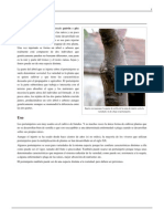Portainjerto - PDF 4