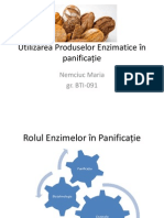 Utilizarea Produselor Enzimatice În Panificație