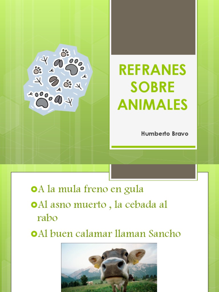 Refranes Sobre Animales | PDF