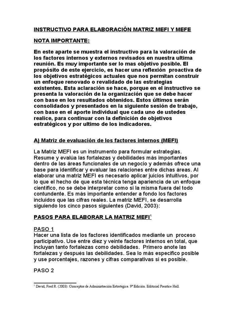 Instructivo para Matrices MEFI y MEFE | PDF | Producto (Negocio ...