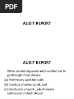 Audit Report