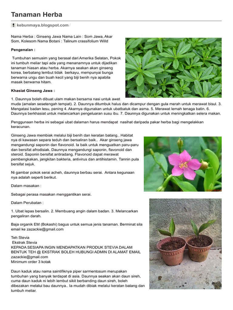 Tanaman Herba Pdf