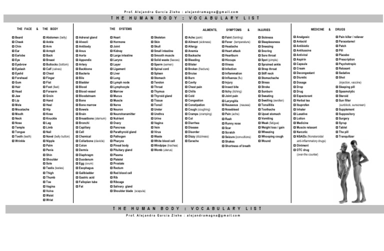 Human Body Vocabulary List | PDF | Wellness | Medical