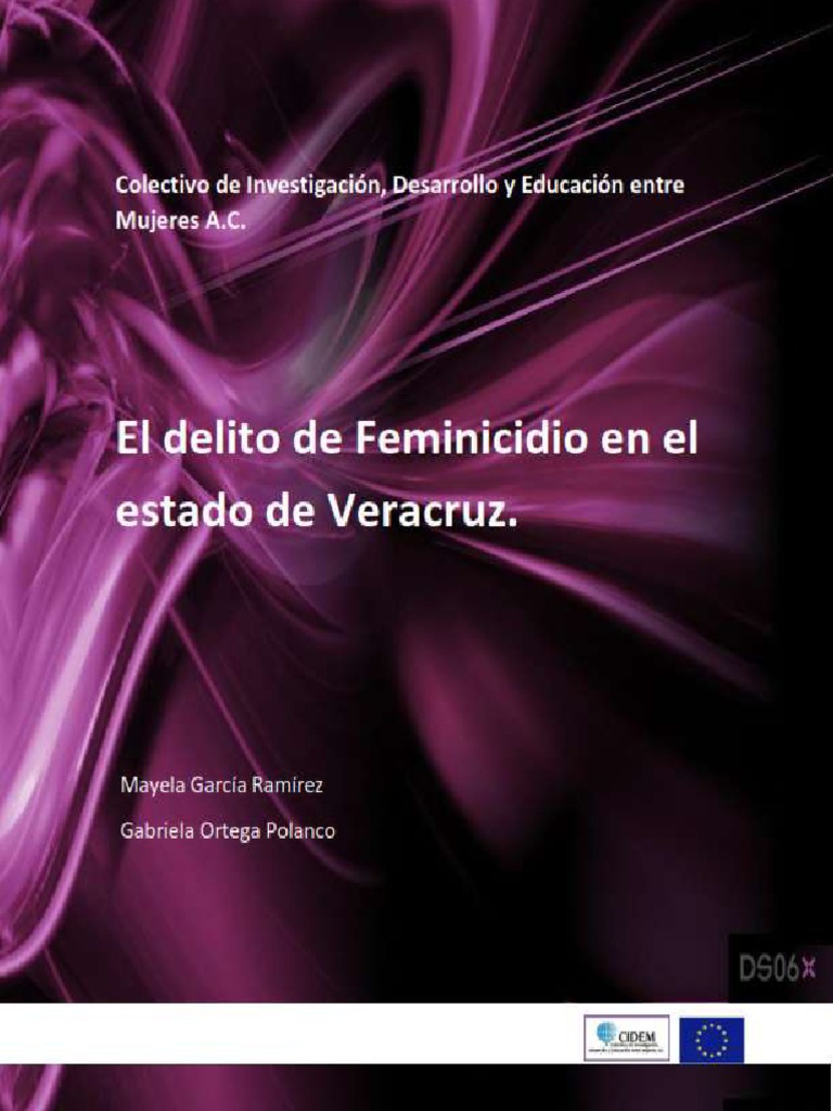 Feminicidio en Veracruz: Análisis y Retos | PDF | La violencia contra ...
