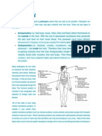 Lecture Xii - Immunology Fundamentals