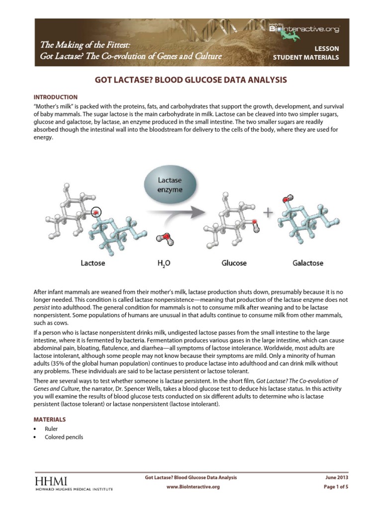 Lactase Blood Glucose Student PDF Milk Medical Specialties