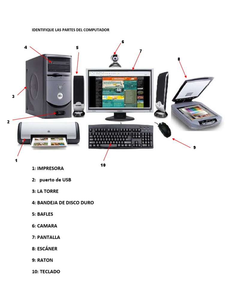 Identifique Las Partes Del Computador Pdf Hardware De La