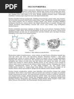 Download Filum Porifera by Rahmat Hussein SN212052159 doc pdf