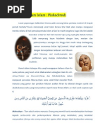 Hiburan Dalam Islam Pdf