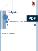 Dolphins: Prepared By: Eng. Basem Ibrahim