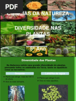 diversidade nas plantas 5.º ano