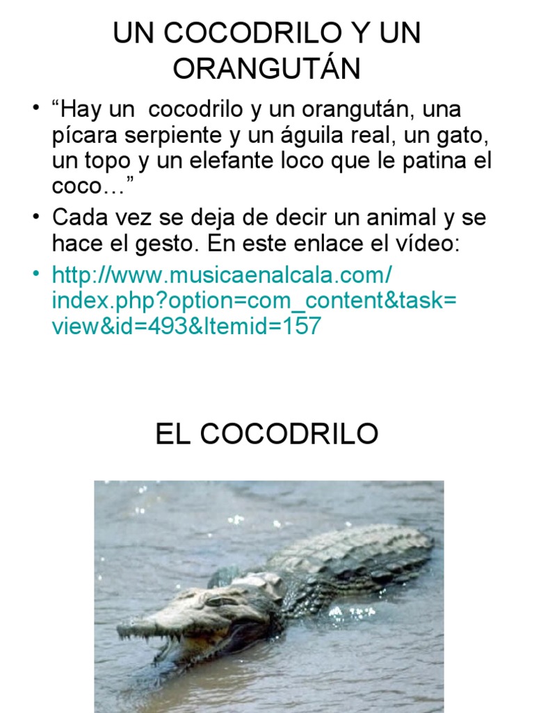 Muy Linda Obra Musical El Buen Pastor Club Peregrinitos