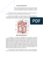 Aparato digestivo y enfermedades