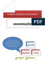 Degenerações 2013