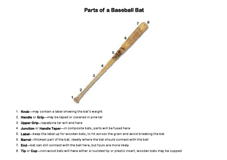 Parts of A Bat Sports Equipment Ball Games