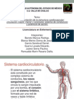 Anatomia Del Corazon