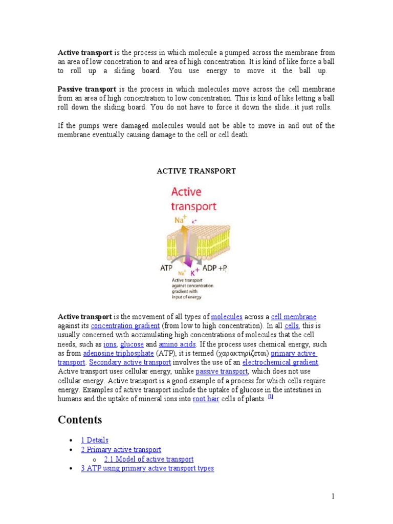 Active vs Passive Transport Explained | PDF | Osmosis | Cell Membrane