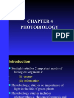 PHOTOBIOLOGY