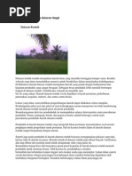 Download Dataran Rendah Dan Dataran Tinggi by Ghiand Yunda Dwi P SN212159471 doc pdf