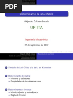 ALyNC P4 Determinantes