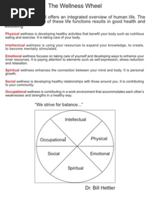 Wellness Meal