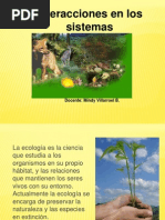 Interacciones en Los Ecosistemas