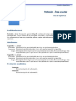 Curriculum Vitae Modelo1b Azul