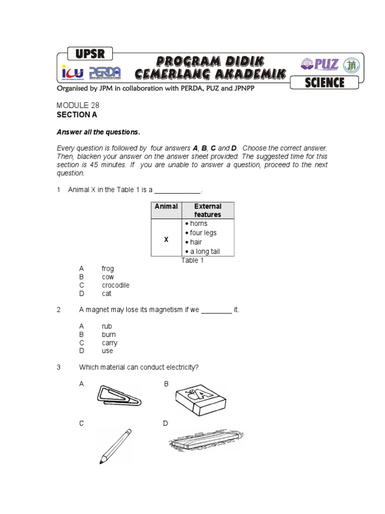 Section A: Answer All The Questions | PDF | Nature