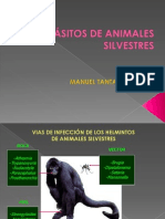 Parasitismo en Animales Silvestres - Manuel Tantalean