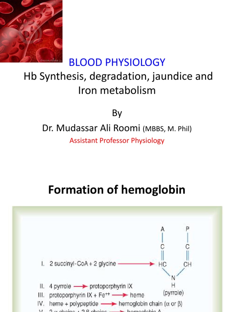 HB Synthesis, Degradation, Jaundice, Iron Metabolism by Dr. Roomi PDF