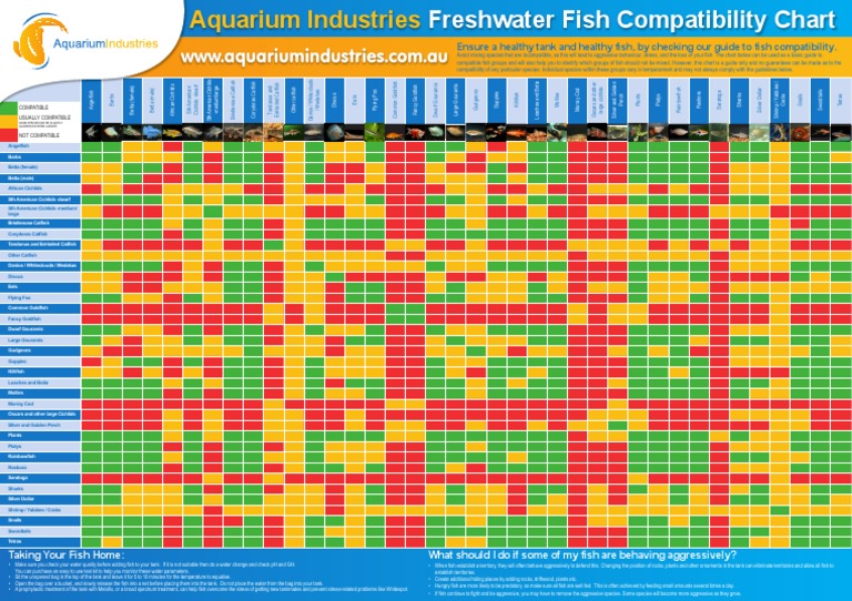 Petco Fish Compatibility Chart