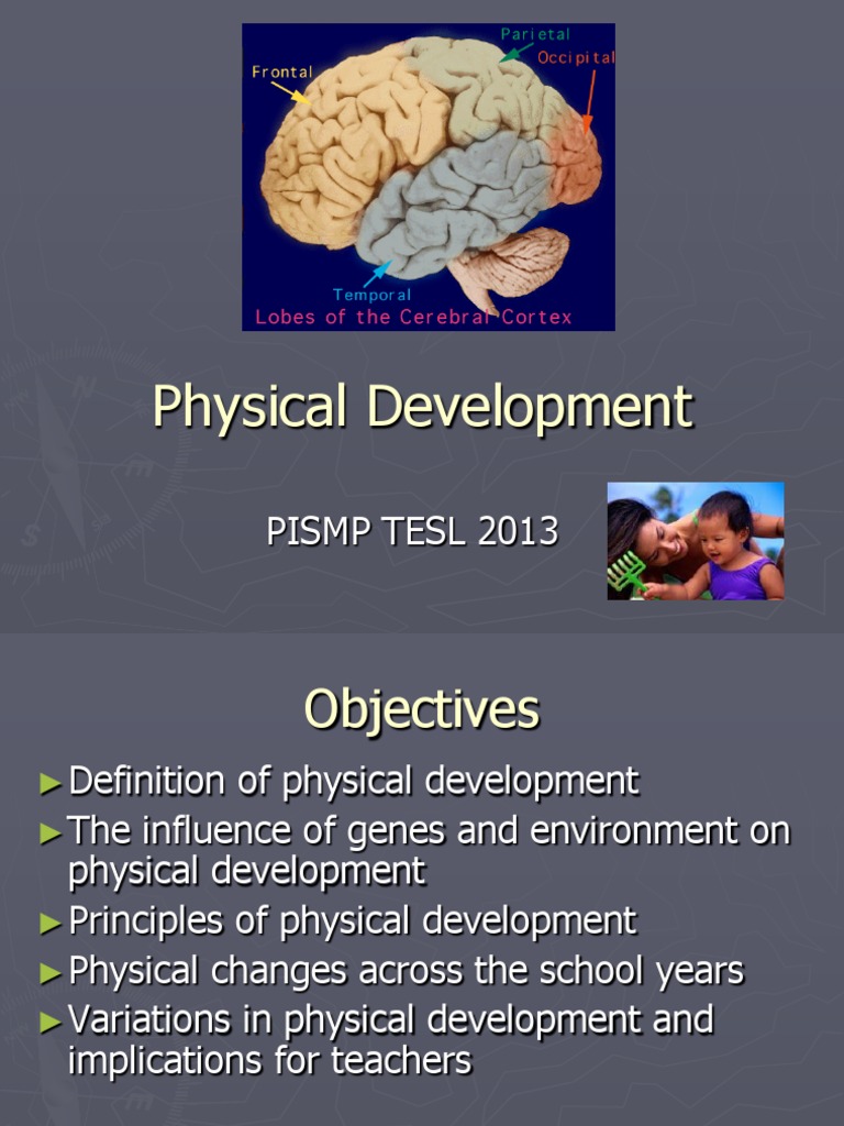 For Student Physical and Brain Development | PDF | Lateralization Of ...