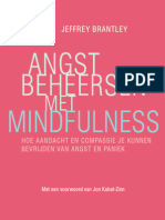 Angst Beheersen Met Mindfulness - Jeffrey Brantley (Leesfragment)