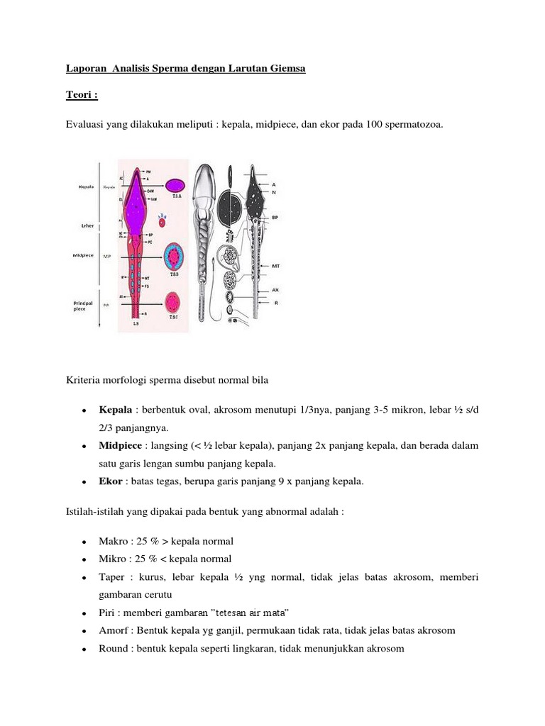 Laporan Analisis Sperma Dengan Pewarnaan Giemsa Fix