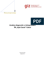 Diagnostic Analysis - Report AC Cahul - ROM 1