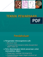 Teknik Pewarnaan 2