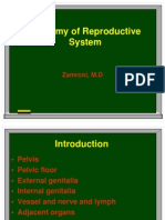 Anatomy of Reproductive System: Zamroni, M.D