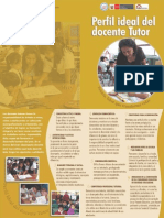 Docente Tutor