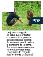 UnJovenOrangután