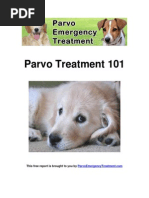 Parvo Treatment 101 PET Version v3.0