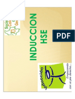 Presentacion Sistema de Gestion Hse SCG PDF