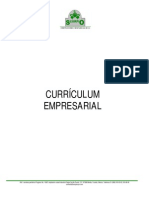 Curriculum Empresarial