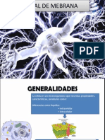 Potencial de Mebrana