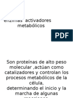 Enzimas Activadores Metabólicos